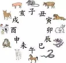 十个指头春秋生肖飞提更高望更远是什么生肖全面释义、科学解答解释落实