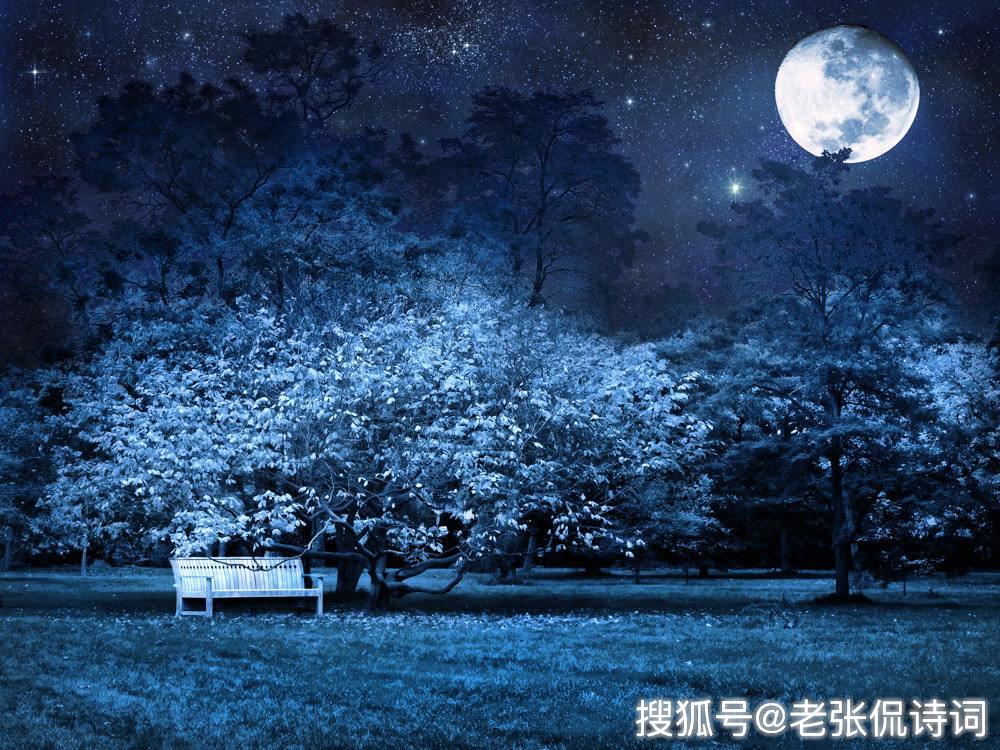 云物凄凉拂曙流是什么生肖，全面释义、专家解答解释落实