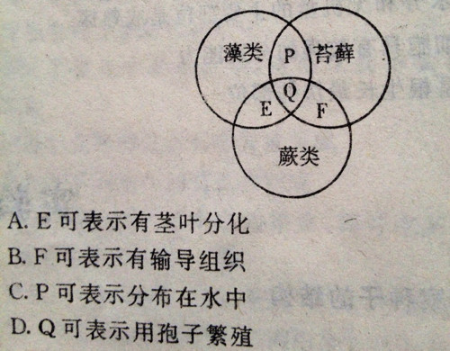 装模作样，十分讨厌，无钱无权梦难圆打一准确生肖、警惕虚假宣传-全面释义、综合解答解释落实